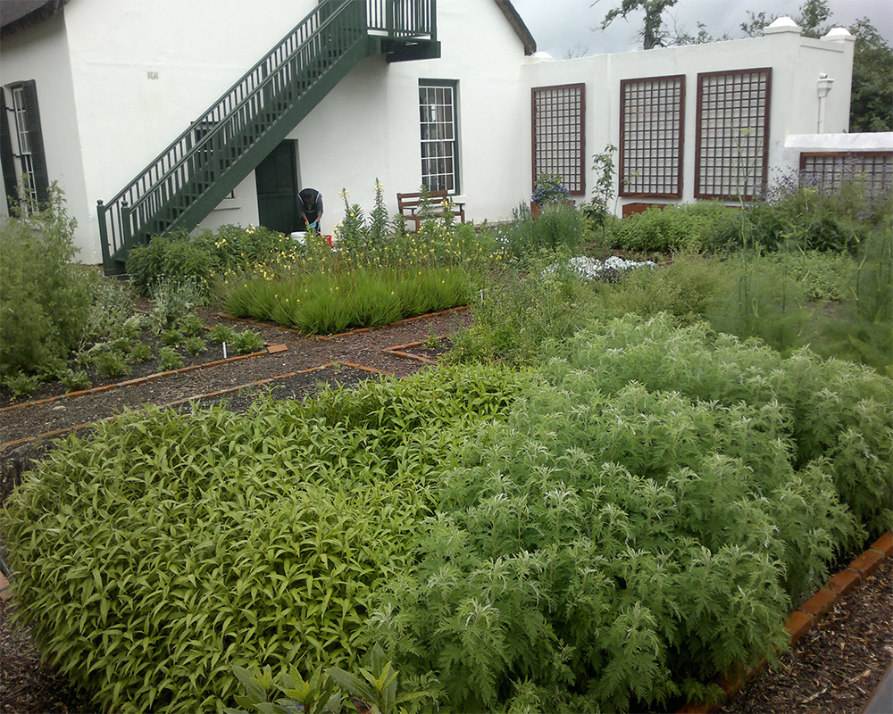 Hambisela_Horticultural_Service_ARW---Manor-House---Herb-garden