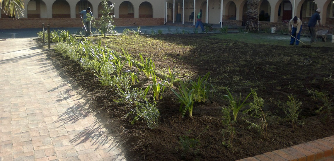 Hambisela_Horticultural_Service_Gallary_0011